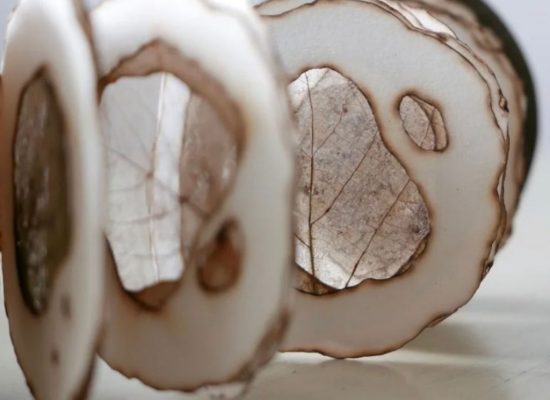 A close-up view shows a series of thin circular panels with irregular cut‑out shapes, revealing delicate translucent layers within. The panels stand upright in a row, showcasing their organic textures and softly worn edges.
