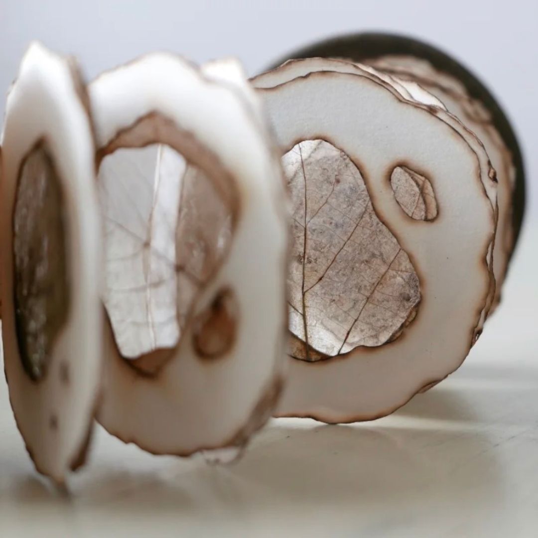 A close-up view shows a series of thin circular panels with irregular cut‑out shapes, revealing delicate translucent layers within. The panels stand upright in a row, showcasing their organic textures and softly worn edges.