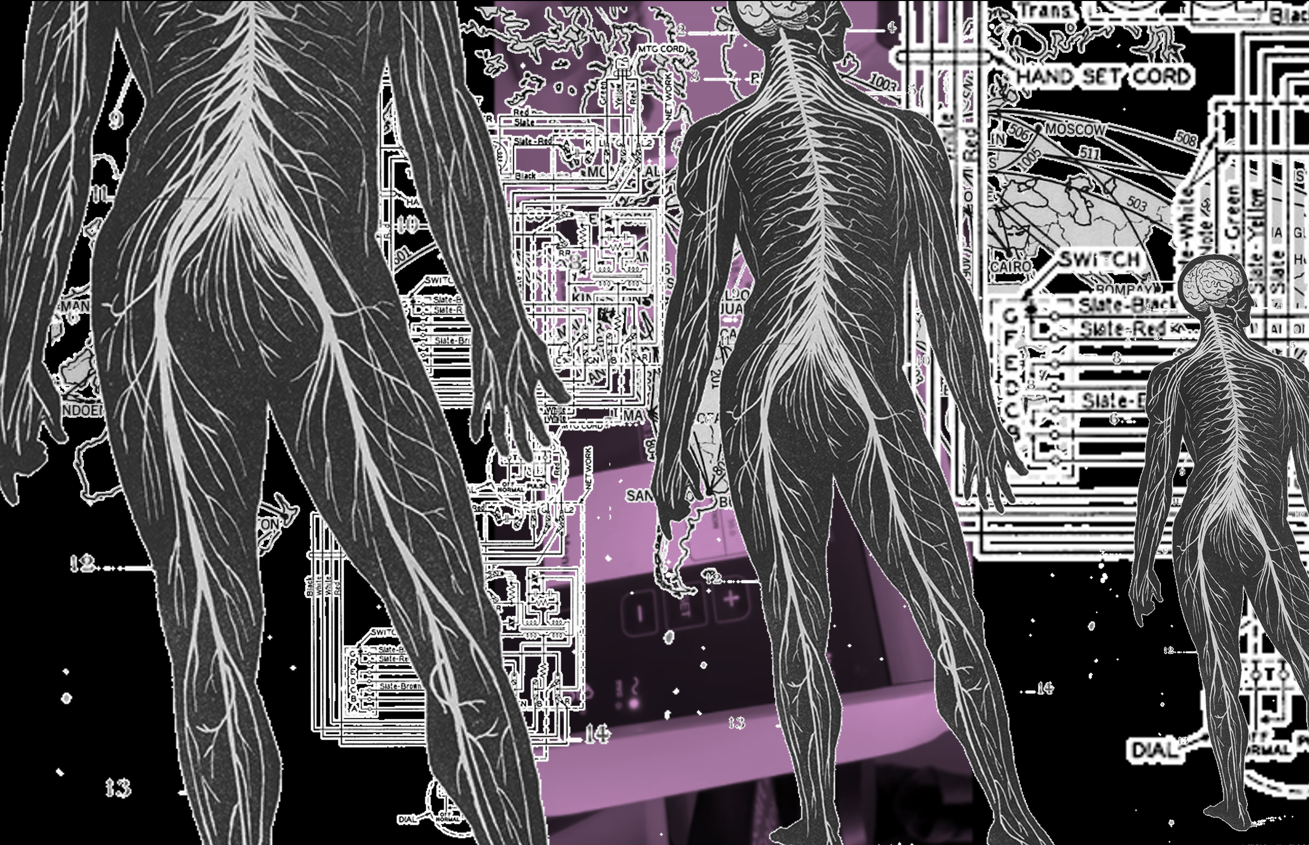 A digital collage features multiple anatomical drawings of the human nervous system arranged over a background of technical circuit‑style diagrams. Shades of black, white and purple create a layered, high‑contrast effect.