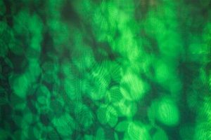 Soft green light patterns form abstract, overlapping circular shapes across a textured surface, creating a diffused and organic visual effect. The image appears blurred, with subtle tonal variations suggesting projected light.