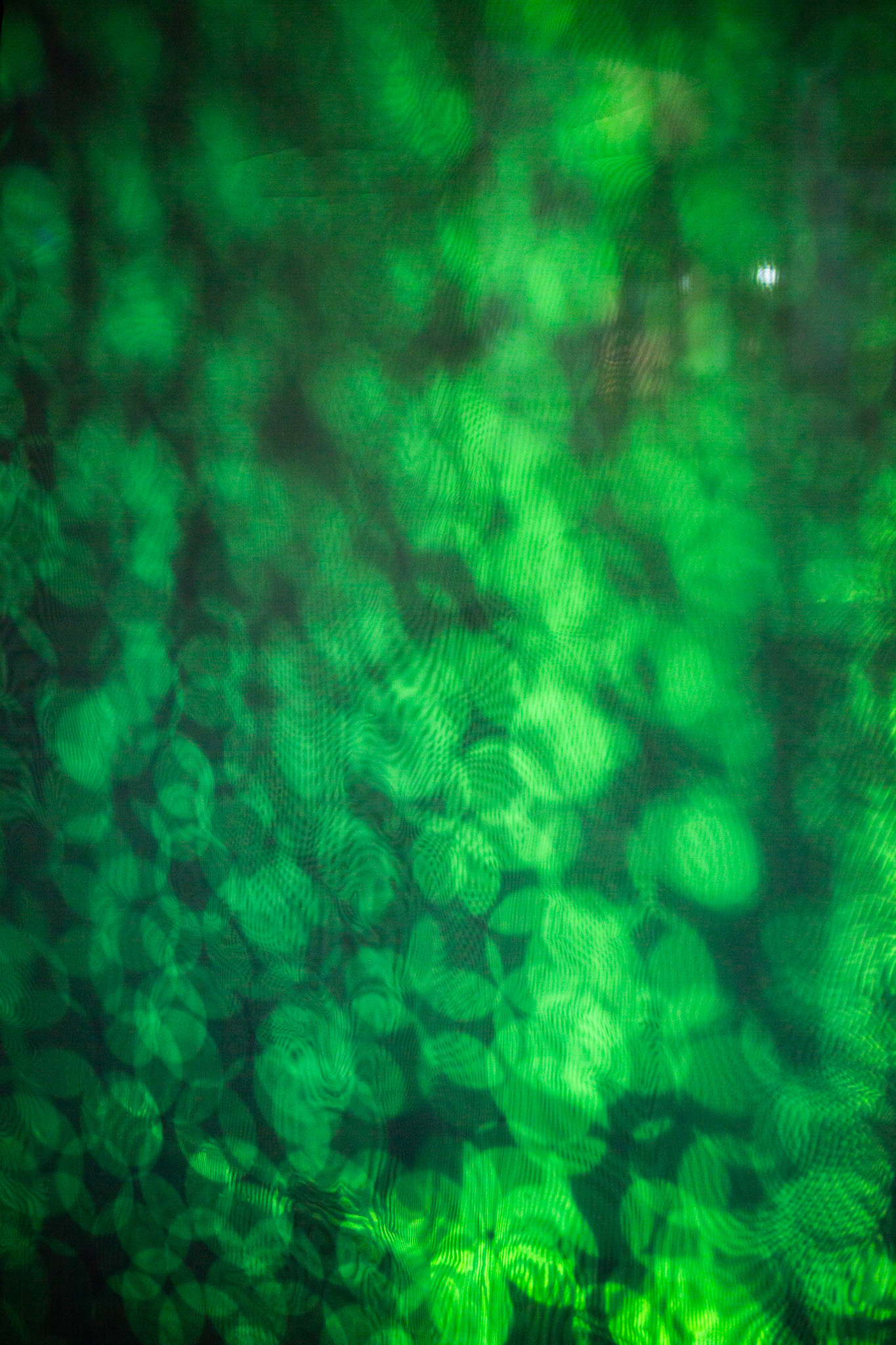 Soft green light patterns form abstract, overlapping circular shapes across a textured surface, creating a diffused and organic visual effect. The image appears blurred, with subtle tonal variations suggesting projected light.
