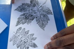 Hands hold a sheet of paper showing detailed leaf prints created using a nature-printing technique. The black ink impressions highlight the veins and shapes of two different leaves.