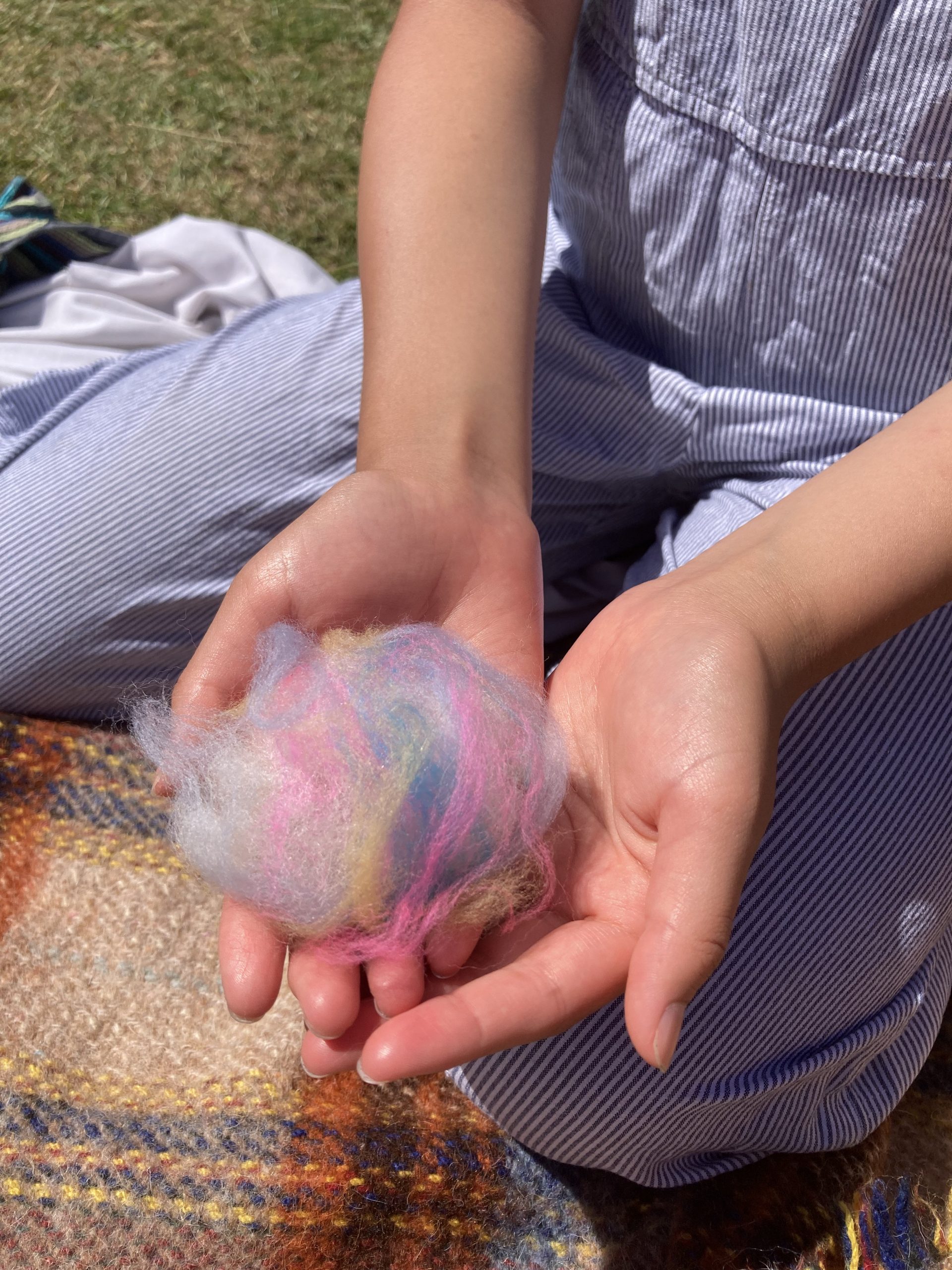 A pair of hands holds a bundle of colourful wool fibres while sitting on a picnic blanket in a grassy outdoor setting. The fibres are blended in shades of pink, blue, yellow and white.