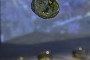 An irregular amber glass form hangs from a thin cord within a gallery installation. Additional glass forms and a softly illuminated video projection appear out of focus in the background.
