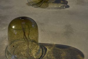 Amber glass vessels of varying shapes lie across a concrete gallery floor, casting elongated shadows under focused lighting. The closest bell-shaped vessel contains a curved coloured element within the glass.